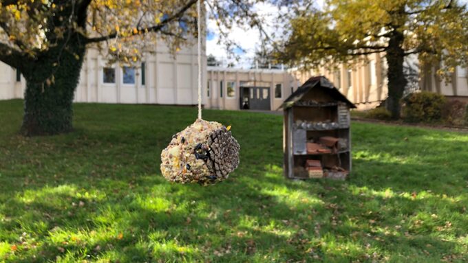 Une boule de graines pour les oiseaux